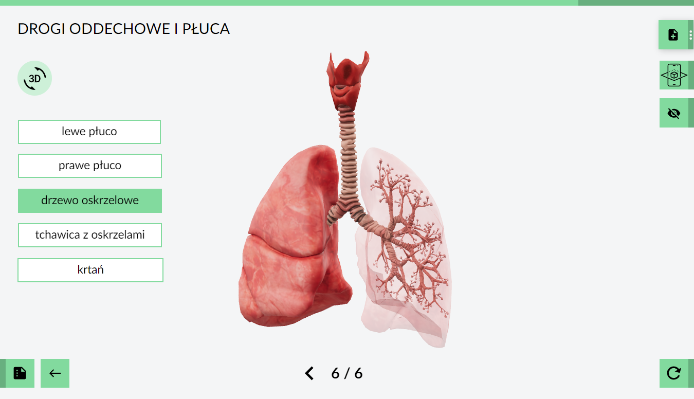 eduLabVR - model 3D dróg oddechowych i płuc w widoku programu