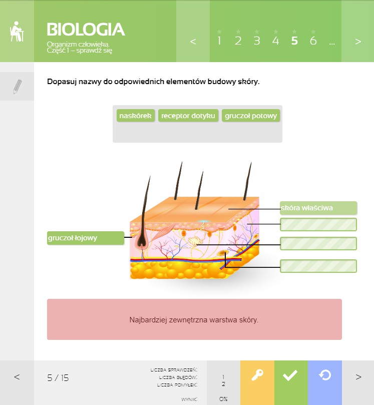 MPP Biologia - budowa skóry, lekcja Sprawdź się
