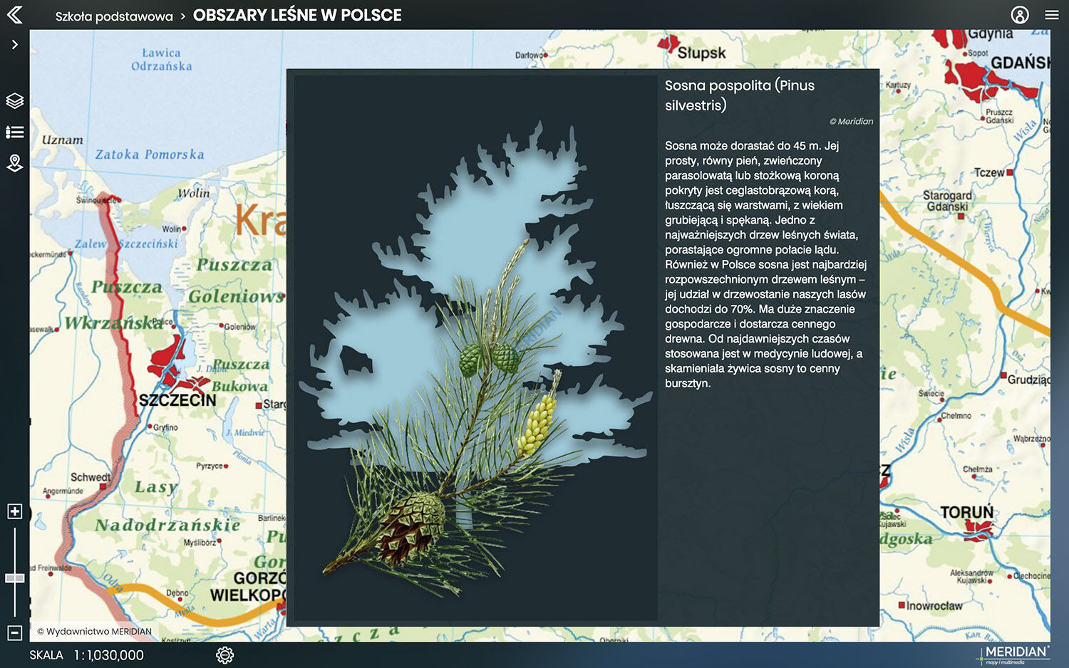 Meridian Prime - mapa obszarów leśnych